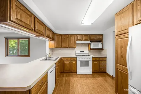 1129 Patricia Court Schaumburg IL 60193