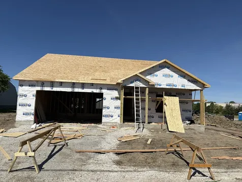 525 Carriage Court Dwight IL 60420