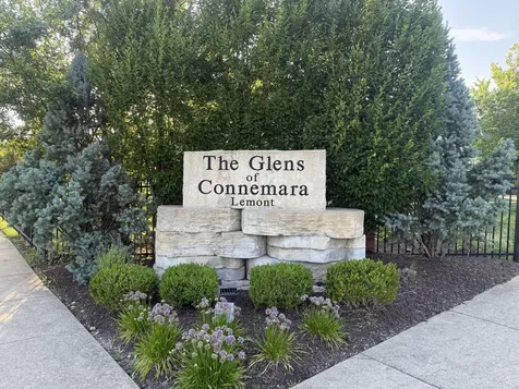 13070 Waterford Drive Lemont IL 60439