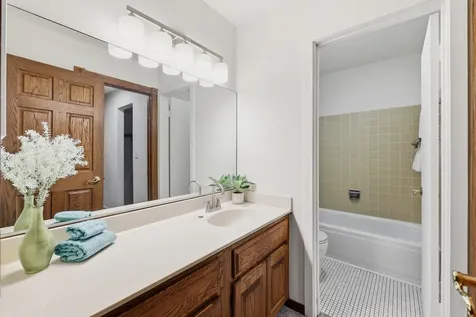 1806 Hemlock Place Schaumburg IL 60173