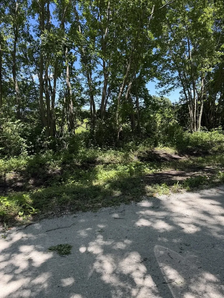 4651 South 17000 Road E Pembroke Twp IL 60958