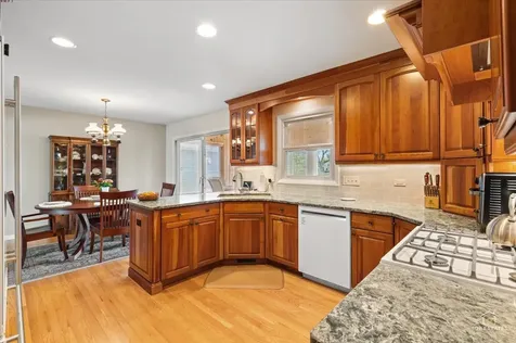 2025 Ivy Court Schaumburg IL 60194