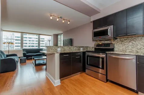 30 East Elm Street Chicago IL 60611