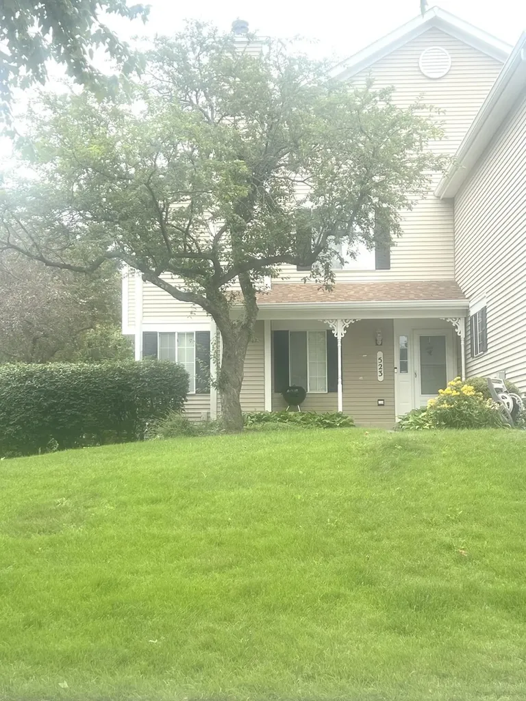 523 Lowell Drive South Elgin IL 60177