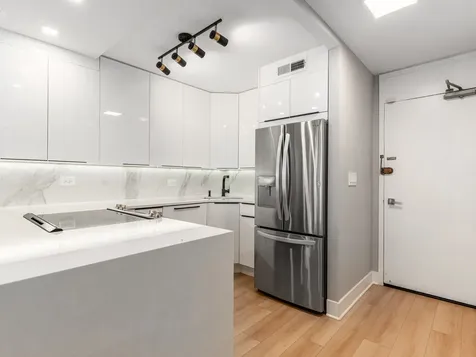 88 West Schiller Street Chicago IL 60610