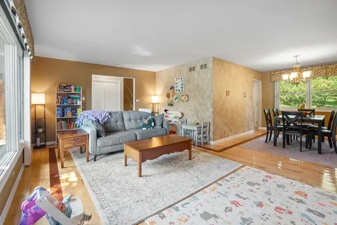 751 Tanglewood Lane Frankfort IL 60423