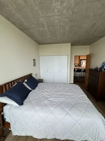 1845 South Michigan Avenue Chicago IL 60616