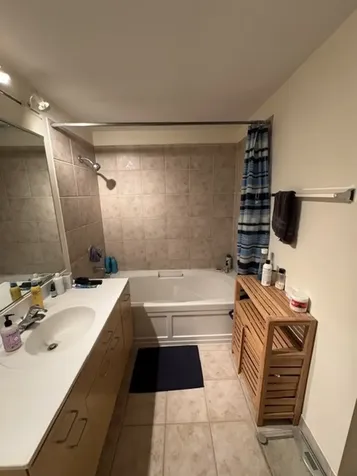 1845 South Michigan Avenue Chicago IL 60616