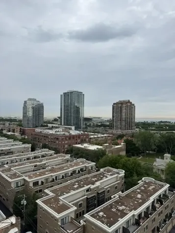 1845 South Michigan Avenue Chicago IL 60616