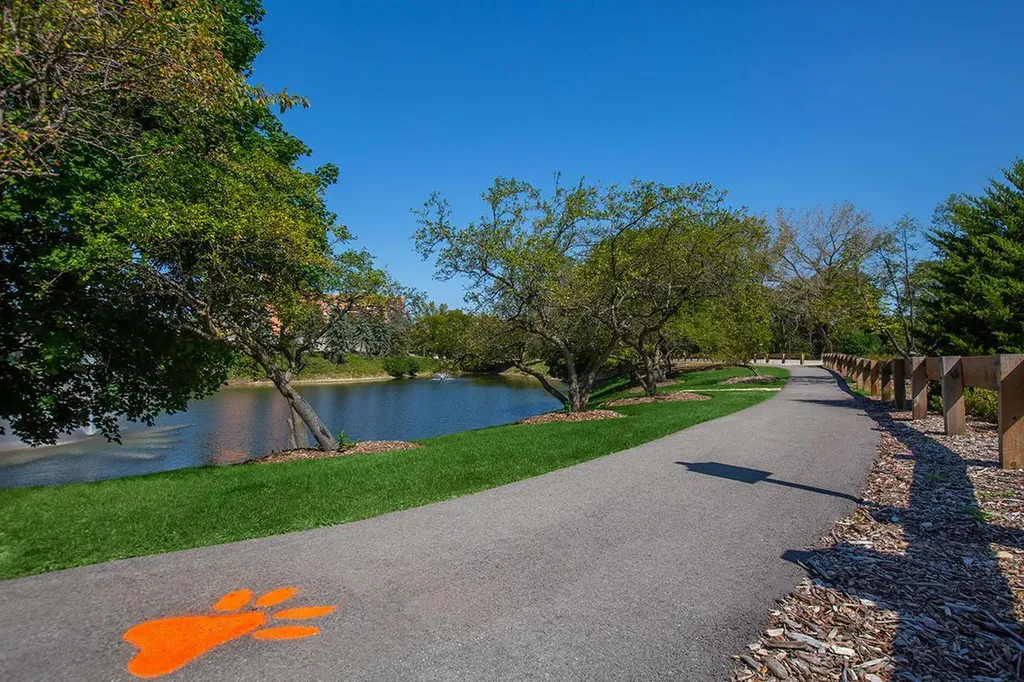 6010 Oakwood Drive Lisle IL 60532