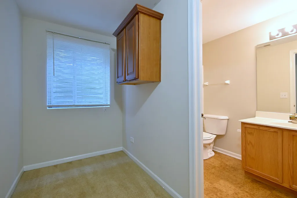 11819 Wolf Creek Lane Plainfield IL 60585