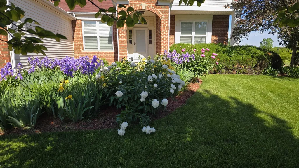 11819 Wolf Creek Lane Plainfield IL 60585