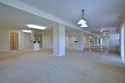 11819 Wolf Creek Lane Plainfield IL 60585
