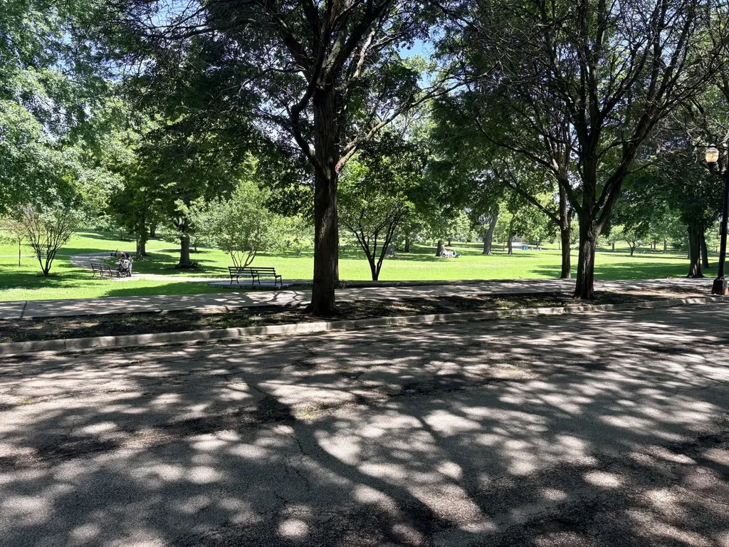1550 North Lake Shore Drive Chicago IL 60610