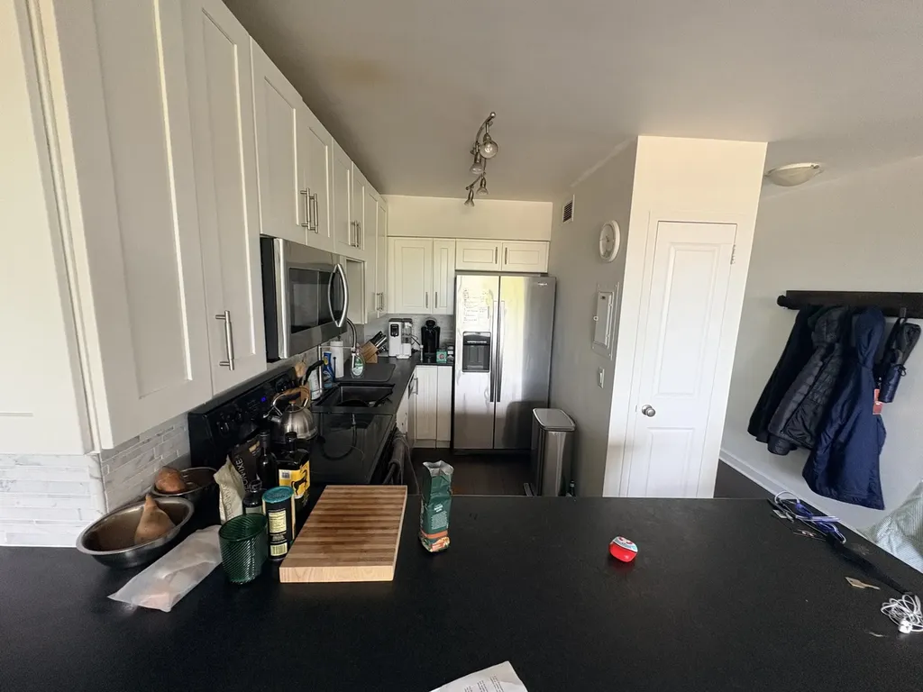 1550 North Lake Shore Drive Chicago IL 60610