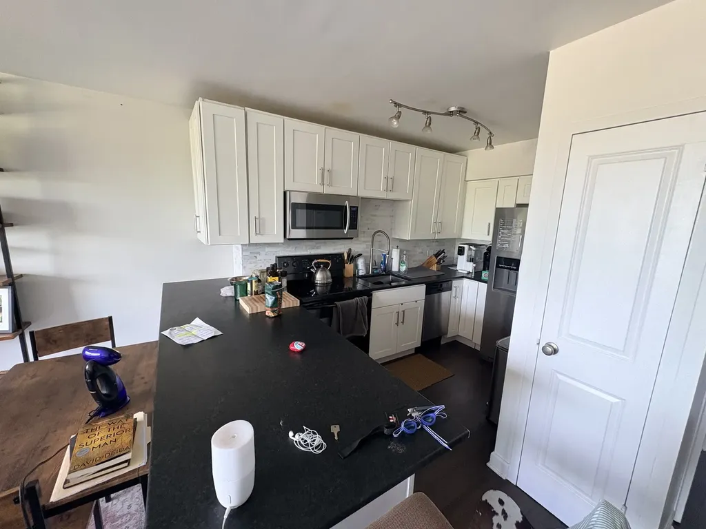 1550 North Lake Shore Drive Chicago IL 60610