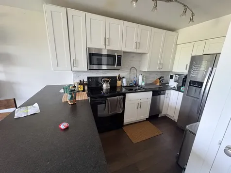 1550 North Lake Shore Drive Chicago IL 60610