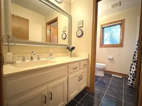 3824 Patty Berg Court Woodridge IL 60517
