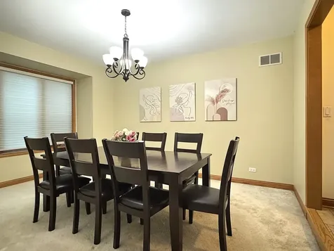 3824 Patty Berg Court Woodridge IL 60517