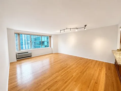 211 East Ohio Street Chicago IL 60611
