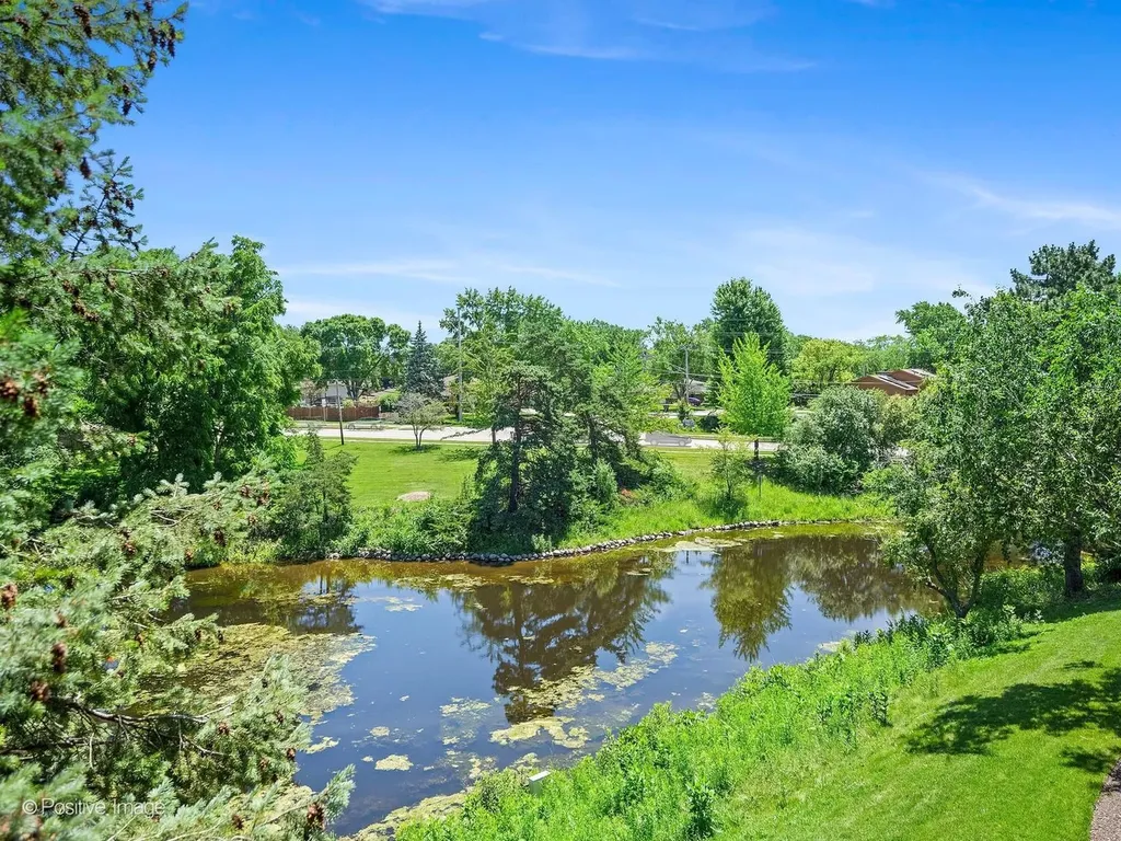 8025 Woodglen Lane Downers Grove IL 60516