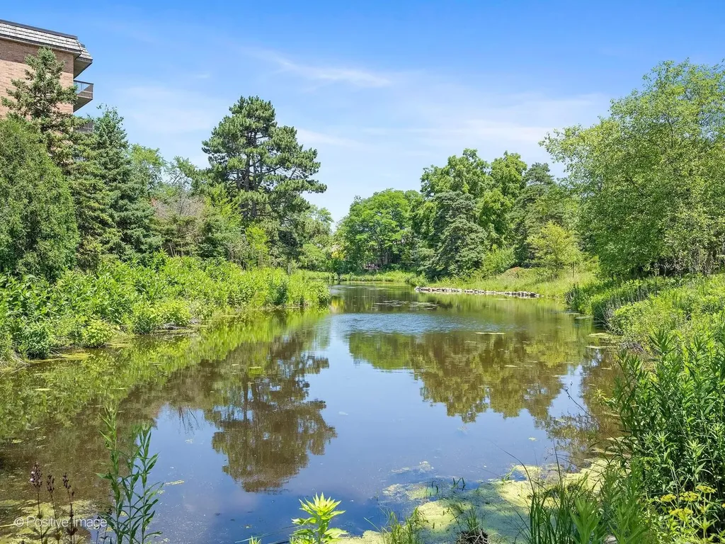 8025 Woodglen Lane Downers Grove IL 60516