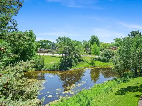 8025 Woodglen Lane Downers Grove IL 60516