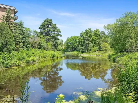 8025 Woodglen Lane Downers Grove IL 60516