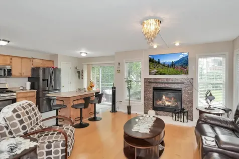 9723 Hillcrest Circle Orland Park IL 60467