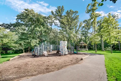 21459 Brittany Drive Frankfort IL 60423