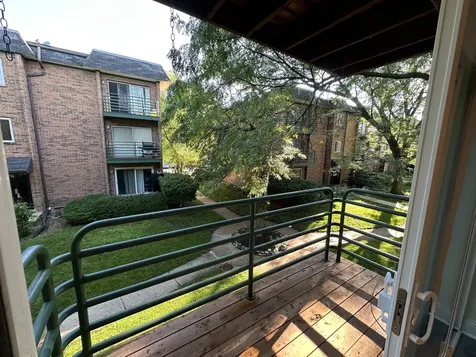 908 Casey Court Schaumburg IL 60173