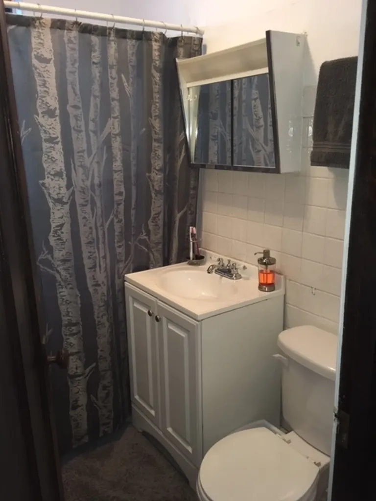 3726 North Christiana Avenue Chicago IL 60618