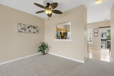 896 Cherry Creek Drive Grayslake IL 60030