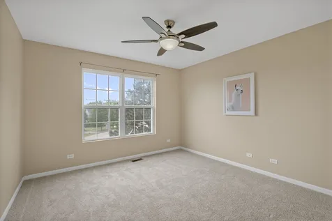 896 Cherry Creek Drive Grayslake IL 60030