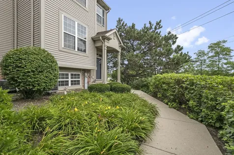 896 Cherry Creek Drive Grayslake IL 60030