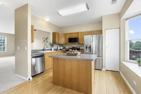 896 Cherry Creek Drive Grayslake IL 60030