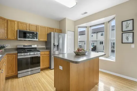 896 Cherry Creek Drive Grayslake IL 60030
