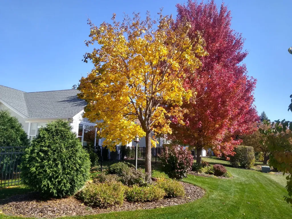 13189 West Essex Lane Huntley IL 60142