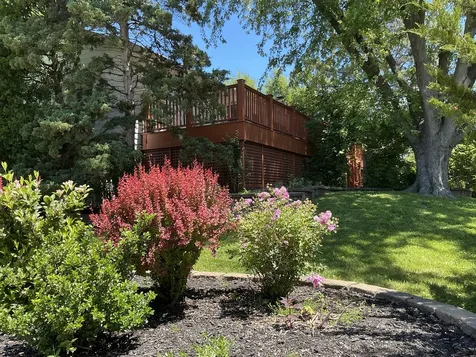 881 Woodhollow Lane Buffalo Grove IL 60089