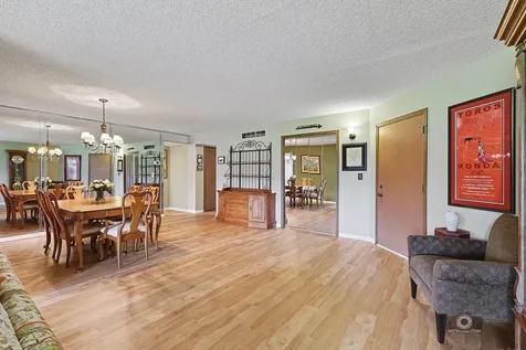 11657 South Matterhorn Circle Palos Park IL 60464