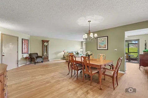 11657 South Matterhorn Circle Palos Park IL 60464