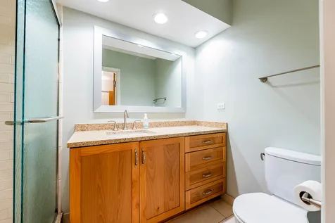 415 Franklin Avenue River Forest IL 60305