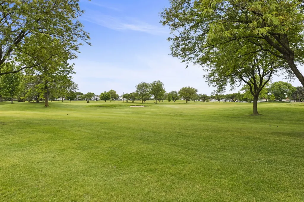 21028 West Snowberry Lane E Plainfield IL 60544