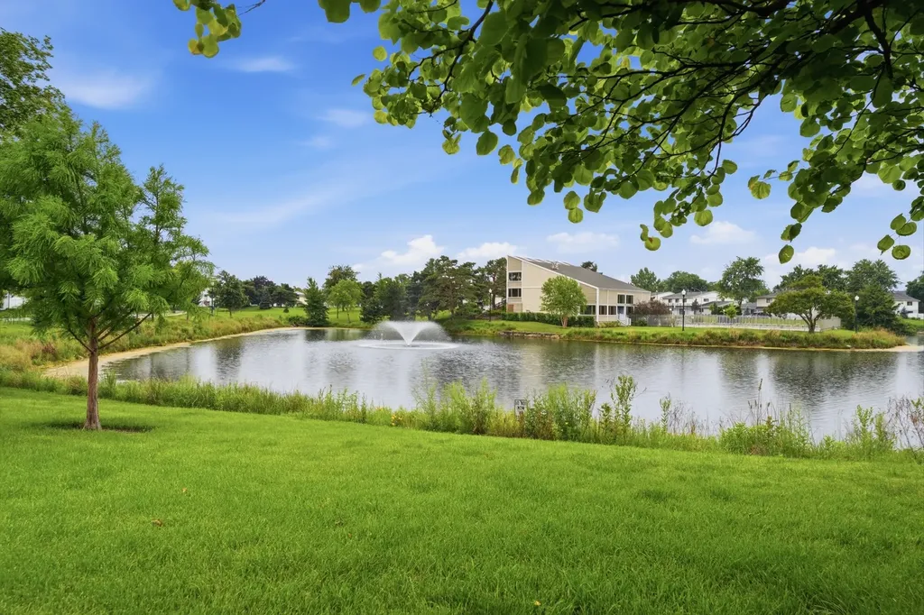731 Shoreline Circle Schaumburg IL 60194