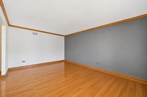 10650 Wildwood Drive Palos Park IL 60464