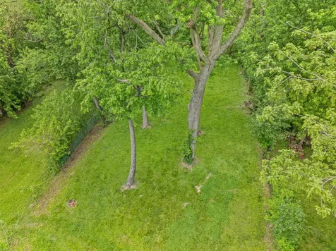 15332 Kenton Avenue Oak Forest IL 60452