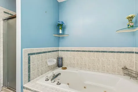 459 Davinci Circle Bolingbrook IL 60440