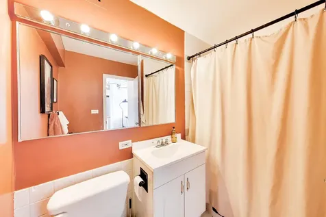 1460 North Sandburg Terrace Chicago IL 60610
