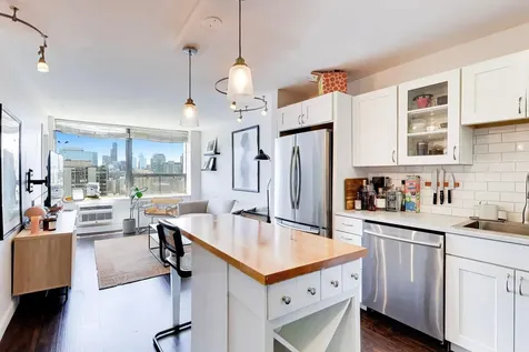 1460 North Sandburg Terrace Chicago IL 60610