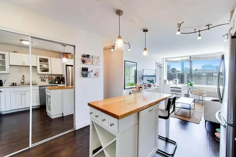 1460 North Sandburg Terrace Chicago IL 60610